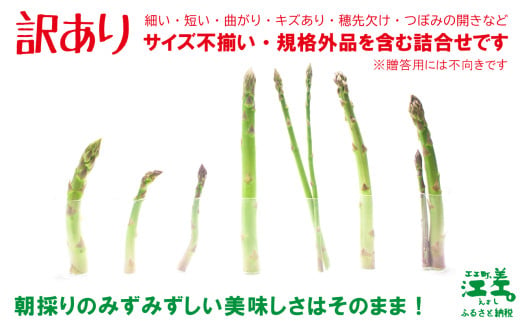 北海道江差町のふるさと納税 ＼春アスパラ 先行予約 2026年4月～順次出荷予定／《訳あり》北海道江差町産 アスパラガス 1kg【サイズ不揃い・規格外MIX】　見た目は良くなくても鮮度や味は正規品と変わりません！　朝採り　農家直送　新鮮　鮮度保持　北海道　旬野菜　グリーンアスパラ　アスパラ　ご自宅用　無選別・規格外・ハネ物・B品