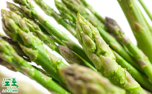 北海道江差町のふるさと納税 ＼春アスパラ 先行予約 2026年4月～順次出荷予定／《訳あり》北海道江差町産 アスパラガス 1kg【サイズ不揃い・規格外MIX】　見た目は良くなくても鮮度や味は正規品と変わりません！　朝採り　農家直送　新鮮　鮮度保持　北海道　旬野菜　グリーンアスパラ　アスパラ　ご自宅用　無選別・規格外・ハネ物・B品