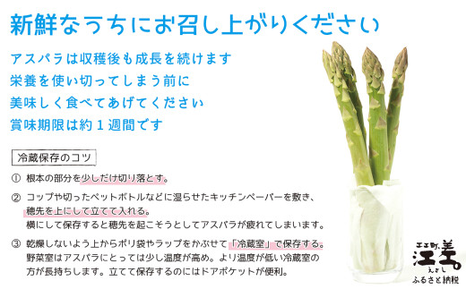 北海道江差町のふるさと納税 ＼夏アスパラ 先行予約受付中／《訳あり》北海道江差町産 アスパラガス 1kg【サイズ不揃い・規格外MIX】　見た目は良くなくても鮮度や味は正規品と変わりません！　朝採り　農家直送　新鮮　鮮度保持　北海道　旬野菜　グリーンアスパラ　アスパラ　ご自宅用　無選別・規格外・ハネ物・B品