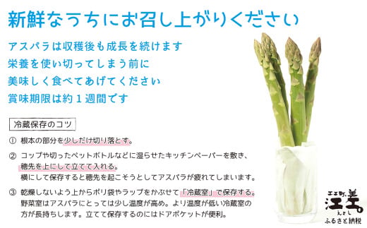 北海道江差町のふるさと納税 ＼春アスパラ 先行予約 2026年4月～順次出荷予定／《訳あり》北海道江差町産 アスパラガス 1kg【サイズ不揃い・規格外MIX】　見た目は良くなくても鮮度や味は正規品と変わりません！　朝採り　農家直送　新鮮　鮮度保持　北海道　旬野菜　グリーンアスパラ　アスパラ　ご自宅用　無選別・規格外・ハネ物・B品