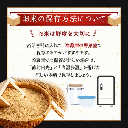 北海道仁木町のふるさと納税 5ヵ月 定期便 (玄米3kg)ホクレンゆめぴりか(3kg×1袋) 北海道米 お米 玄米 ごはん ご飯 ライス 和食 炭水化物 主食 おにぎり お弁当 ほど良い粘り 豊かな甘み つややか 特A [JA新おたる]