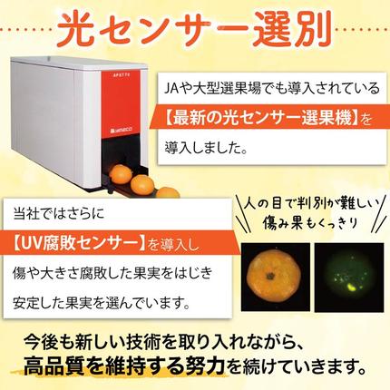 光センサー選別／極 有田みかんプレミアム 約2kg【光センサー 高糖度
