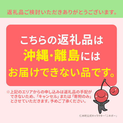 北海道仁木町のふるさと納税 2027年発送 北海道 仁木町産 さくらんぼ 紅秀峰 600g (300g×2パック) L-Mサイズ 混合 旬 桜桃 産地直送 サクランボ チェリー フルーツ 果物 果物類 仁木町 仁木 [松山商店]