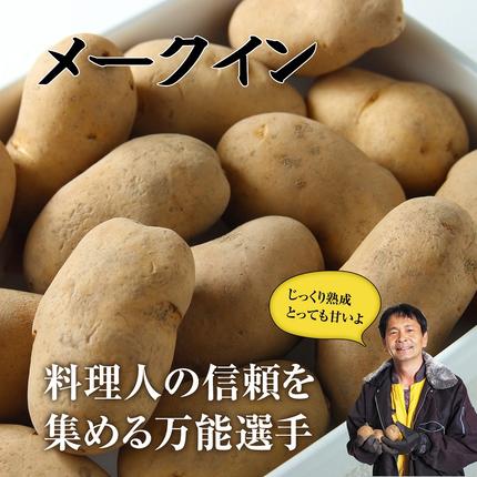 北海道池田町のふるさと納税 北海道産 熟成じゃがいも メークイン10ｋｇ 期間限定 雪室貯蔵 十勝産 ジャガイモ じゃが芋 いも 甘い