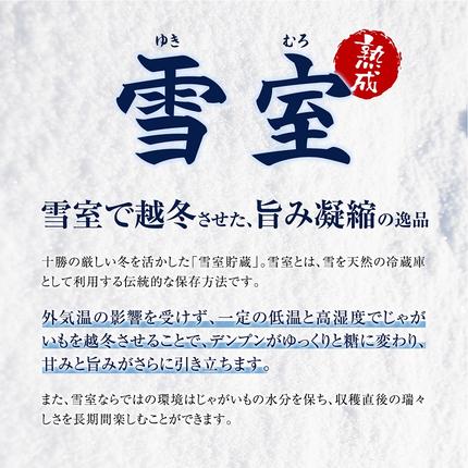 北海道池田町のふるさと納税 北海道産 熟成じゃがいも メークイン10ｋｇ 期間限定 雪室貯蔵 十勝産 ジャガイモ じゃが芋 いも 甘い