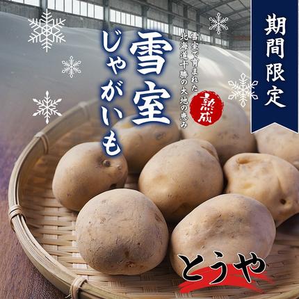北海道産 熟成じゃがいも とうや 10kg