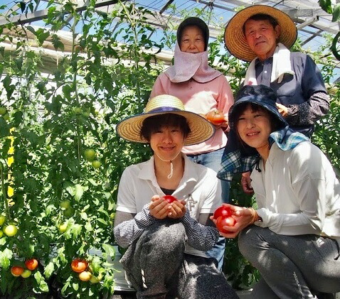 山梨県中央市のふるさと納税 トマト塩糀 トマト塩麹 余すとこなくまるごとトマト約10個を「ぎゅっ」と濃縮！ [ヨダファーム 山梨県 中央市 21471034] 塩糀 塩麹 塩こうじ しおこうじ 麹 糀 こうじ 料理 トマト とまと