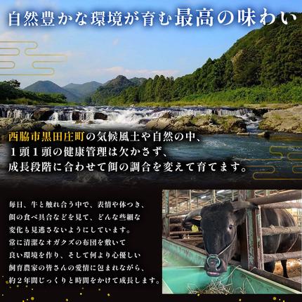 兵庫県西脇市のふるさと納税 【最短7営業日発送】【幻の神戸ビーフ】特選 黒田庄和牛（すき焼き用肩ロース、500g）≪冷蔵でお届け≫（tokusan-16）