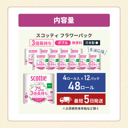 宮城県岩沼市のふるさと納税 【 最短発送 】 トイレットペーパー ダブル スコッティ 3倍長持ち 48ロール ( 4ロール × 12パック ) フラワーパック