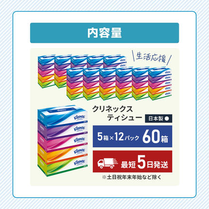 宮城県岩沼市のふるさと納税 【 最短発送 】ティッシュ クリネックス 60箱 ( 5箱 × 12パック ) ティッシュ