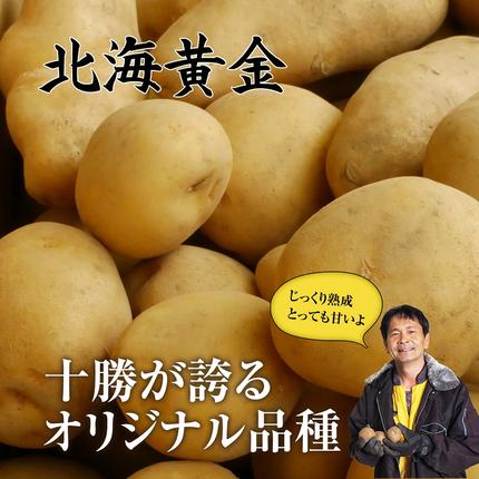 北海道池田町のふるさと納税 北海道産 熟成じゃがいも 北海黄金4kg　期間限定 雪室貯蔵 十勝産 ジャガイモ じゃが芋 いも 甘い