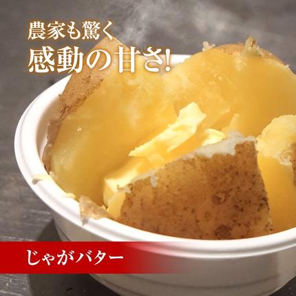 北海道池田町のふるさと納税 北海道産 熟成じゃがいも 北海黄金4kg　期間限定 雪室貯蔵 十勝産 ジャガイモ じゃが芋 いも 甘い