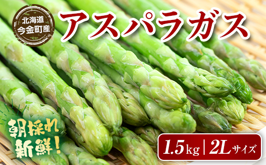 朝採れ新鮮アスパラ 1.5kg（2Lサイズ
