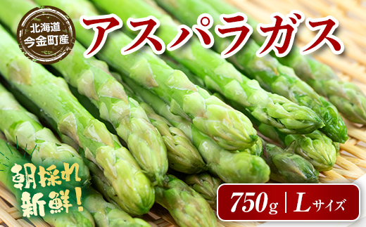 朝採れ新鮮アスパラ 750g（Lサイズ） (2026年3月下旬～6月中旬または
