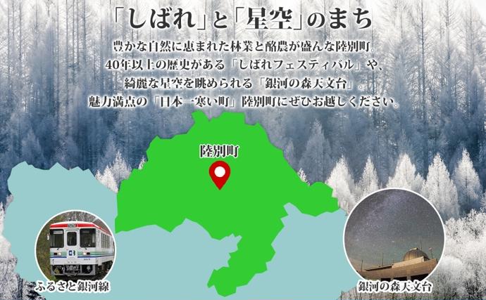 北海道陸別町のふるさと納税 りくべつ 鹿チーズカレー 4箱 鹿肉カレー カレーライス ジビエカレー レトルトカレーパウチ レトルト食品 簡単 簡単調理 エゾシカ肉 チーズ ゴーダチーズ お取り寄せ ギフト 送料無料 プレゼント 北海道 陸別町