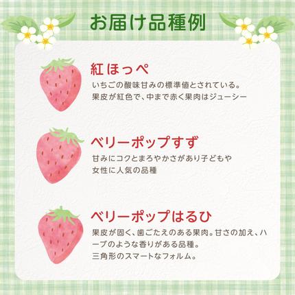 兵庫県加西市のふるさと納税 いちご　4パック 兵庫県 加西市 果物類 苺 イチゴ 果物詰合せ フルーツ