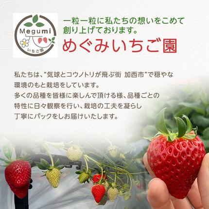 兵庫県加西市のふるさと納税 いちご　4パック 兵庫県 加西市 果物類 苺 イチゴ 果物詰合せ フルーツ