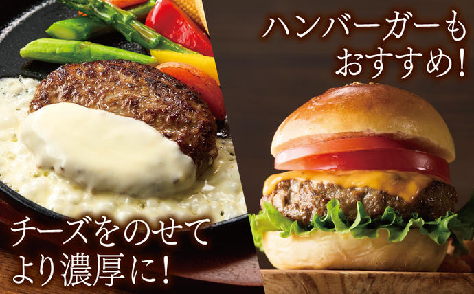 大阪府泉佐野市のふるさと納税 桜文 馬肉ハンバーグ 総量1.2kg（120g×10個） 個包装 005A658