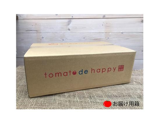 愛知県碧南市のふるさと納税 【2026年度予約分】【お試し】幻のミニトマト??トマトベリー約800g 長田農園 野菜ソムリエサミット 金賞 受賞 産地直送 トマト とまと 野菜 やさい フルーツ サラダ 濃厚 甘い ご褒美 プレゼント 美容 健康 リピート多数 人気 高評価 先行受付 数量限定 碧南市 H004-114