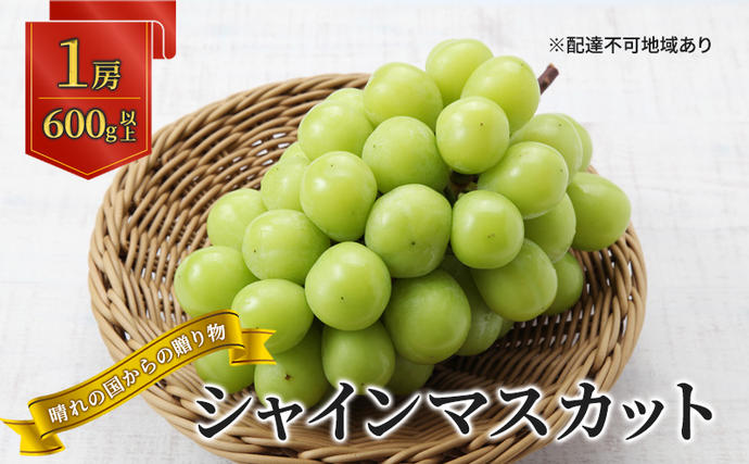 [2026年先行予約] ぶどう 岡山県産 晴れの国からの 贈り物 シャインマスカット 1房(600g以上) [2026年9月上旬-10月中旬頃出荷] 葡萄 ブドウ フルーツ 果物 スイーツ 数量限定 期間限定 岡山 里庄町