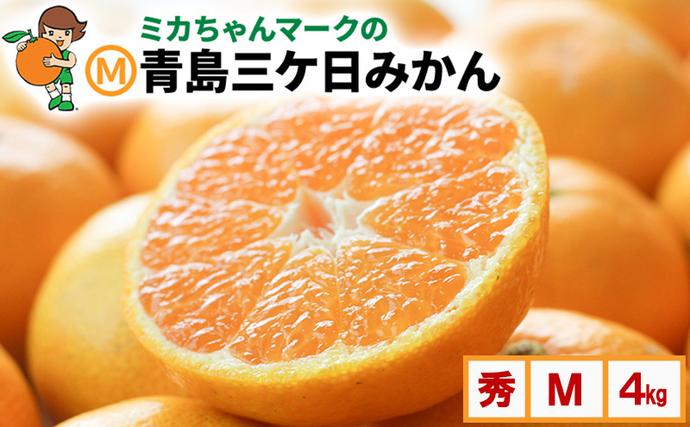 ミカちゃんマークのマルエム青島三ヶ日みかん 秀 M 4kg（約36個