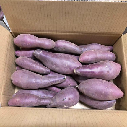 茨城県行方市のふるさと納税 【2026年1月上旬より順次発送】★訳あり★無選別「はるかにおいしいさつまいも」EMそだち紅はるか 約5kg｜さつまいも 芋 サツマイモ 紅はるか 訳あり わけあり ワケアリ 先行予約 EM 栄養 焼き芋 蒸かし芋 天ぷら 大学芋 茨城県 行方市(HH-1)