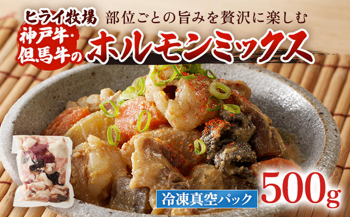 [神戸牛・但馬牛]ホルモンミックス 500g 小腸 大腸 ミノ ハチノス センマイ アカセン