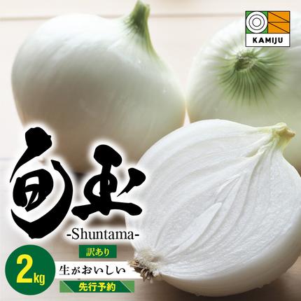 愛知県碧南市のふるさと納税 (2026年発送) ≪『満天☆青空レストラン』で紹介されました！≫ 訳あり 新玉ねぎ 生がおいしい 神重農産のブランド玉ねぎ「旬玉」2kg ブランド玉ねぎ 玉ねぎ 国産 愛知県産 野菜 やさい 農家直送 畑直送 旬 期間限定 たまねぎ 先行予約 旬 特産 高評価 高リピート 人気日本テレビ H105-202