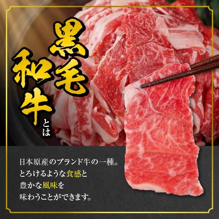 宮崎県都城市のふるさと納税 【黒毛和牛】切り落とし1kg(250g×4パック)_13-I901【肉 牛肉 スライス 人気 おすすめ すきやき しゃぶしゃぶ 焼き肉 焼肉 BBQ】