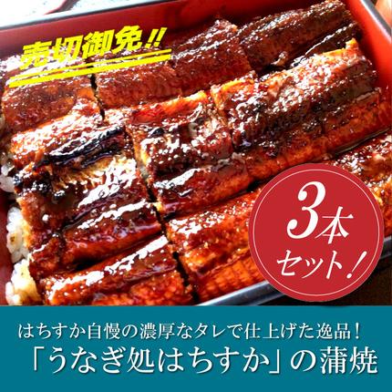 愛知県碧南市のふるさと納税 三河一色産 鰻の蒲焼き 3尾 計540g以上 うなぎ処はちすか 国産 日本料理 うなぎ 蒲焼 白焼 真空 冷蔵 大きい 白だし かつおぶし 出汁 うな丼 うな重 ひつまぶし　H026-031