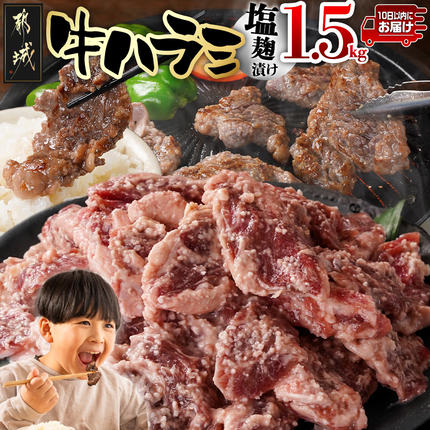 牛ハラミ 塩麹タレ漬け1.5kg≪みやこんじょ特急便≫〔33-025-1500g-Q〕 肉 牛肉 焼き肉 焼肉 BBQ