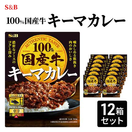 S&B 牛100% キーマカレー 12箱セット