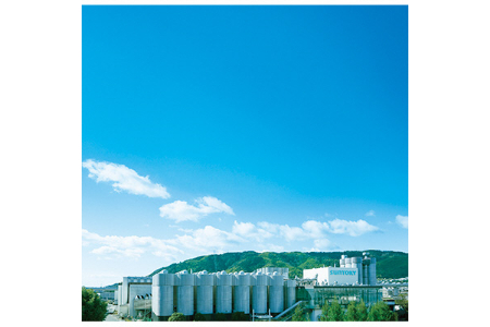 京都府長岡京市のふるさと納税 《3ヶ月定期便》〈天然水のビール工場〉京都直送 ザ・プレミアム・モルツ500ml×24本 全3回 [1517]