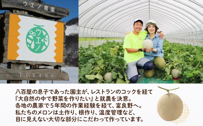 北海道富良野市のふるさと納税 ＜2026年発送＞ふらの産 しあわせのメロン 赤肉 青肉 メロン 2玉 セット 計4kg 富良野メロン