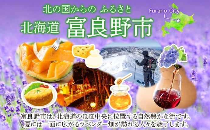 北海道富良野市のふるさと納税 ＜2026年発送＞ふらの産 しあわせのメロン 赤肉 青肉 メロン 2玉 セット 計4kg 富良野メロン