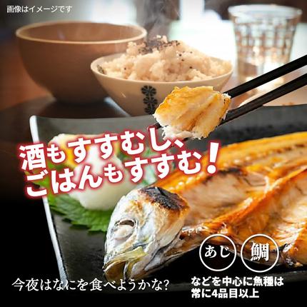 大分県国東市のふるさと納税 良漁2.3kg!磯武さんの訳あり干物_1020R