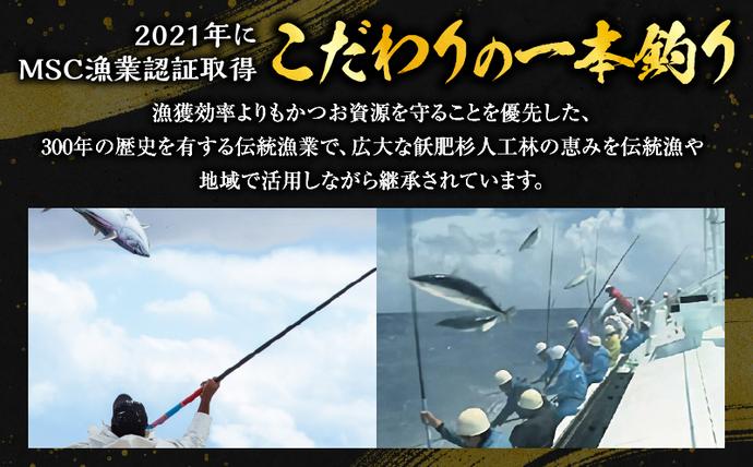 宮崎県日南市のふるさと納税 ＼近海かつお一本釣り漁獲量日本一!!／ 大判 かつお 柵 計800g 食品 国産 真空パック おすすめ 鰹 カツオ 刺身 刺し身 サク おかず おつまみ ギフト 魚介類 新鮮 海産物 水産 海の幸 数量限定 人気 プレゼント 贈り物 贈答 お取り寄せ 宮崎県 日南市 送料無料_BB149-24