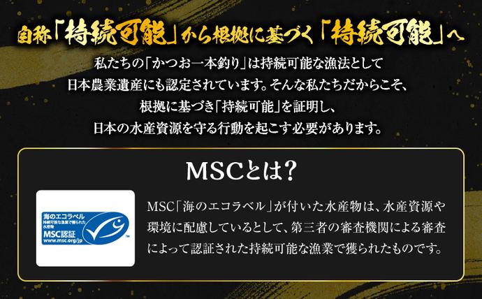 宮崎県日南市のふるさと納税 ＼近海かつお一本釣り漁獲量日本一!!／ 大判 かつお 柵 計800g 食品 国産 真空パック おすすめ 鰹 カツオ 刺身 刺し身 サク おかず おつまみ ギフト 魚介類 新鮮 海産物 水産 海の幸 数量限定 人気 プレゼント 贈り物 贈答 お取り寄せ 宮崎県 日南市 送料無料_BB149-24