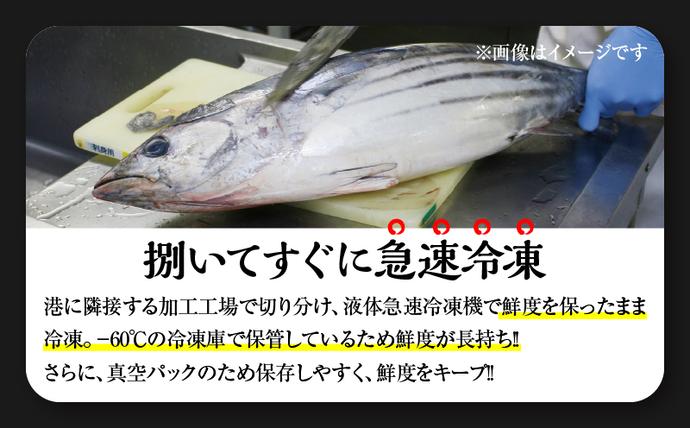 宮崎県日南市のふるさと納税 ＼近海かつお一本釣り漁獲量日本一!!／ 大判 かつお 柵 計800g 食品 国産 真空パック おすすめ 鰹 カツオ 刺身 刺し身 サク おかず おつまみ ギフト 魚介類 新鮮 海産物 水産 海の幸 数量限定 人気 プレゼント 贈り物 贈答 お取り寄せ 宮崎県 日南市 送料無料_BB149-24