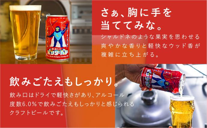 大阪府泉佐野市のふるさと納税 クラフトビール ギフト 飲み比べ 5本セット【よなよなエール 正気のサタン 裏通りのドンダバダ ビール 詰め合わせ プレゼント 地ビール ふるさと納税限定 泉佐野オリジナル ヤッホーブルーイング】 G1666