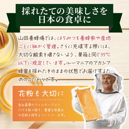 岡山県鏡野町のふるさと納税 山田養蜂場ルーマニア産アカシア蜂蜜200g（ビン入り）×3個（64301）【006-a039】