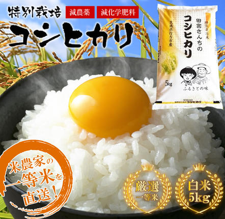 茨城県行方市のふるさと納税 L-2 「田宮さんちのコシヒカリ」　5kg