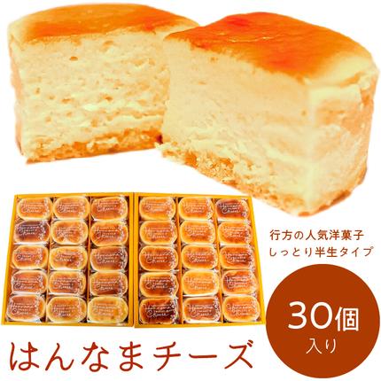茨城県行方市のふるさと納税 H-19-1 はんなまチーズ（30個入り）