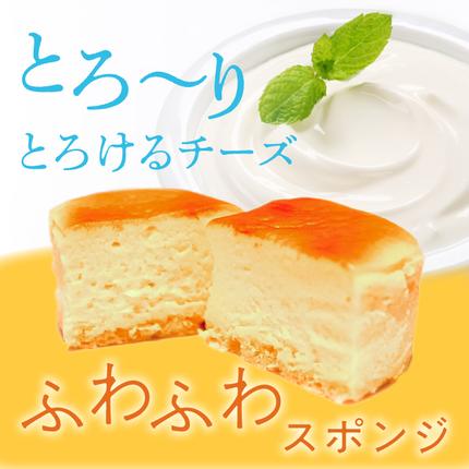 茨城県行方市のふるさと納税 H-19-1 はんなまチーズ（30個入り）