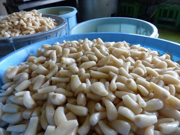 茨城県行方市のふるさと納税 BC-1 ☆茨城の甘楽京1200g（400g×３袋）