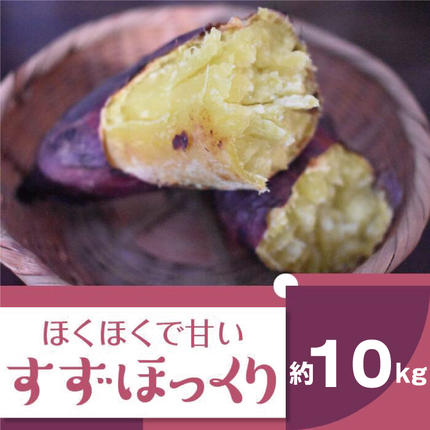 茨城県行方市のふるさと納税 2025年度産 ホクホクで甘いさつまいも すずほっくり 約10kg｜さつまいも 芋 お芋 すずほっくり 渋谷農園 茨城県 行方市(BZ-12)