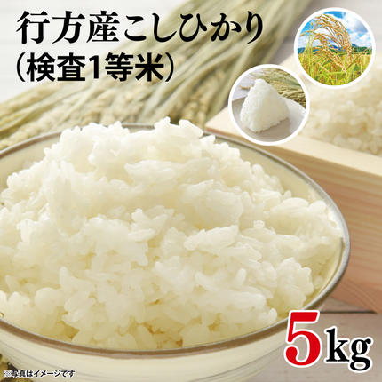 茨城県行方市のふるさと納税 ★令和7年産★行方産こしひかり 5kg(検査1等 米)｜米 お米 コシヒカリ こしひかり R7年産 茨城県 行方市(CU-30-2)