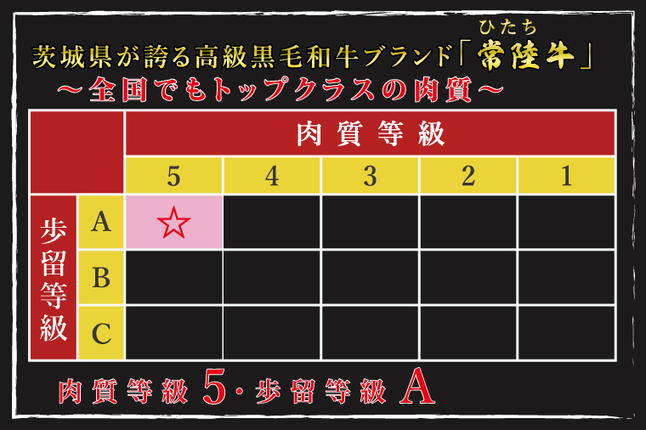 茨城県行方市のふるさと納税 DT-41【常陸牛A5ランク・美明豚味噌漬けセット】常陸牛味噌漬け350ｇ＋美明豚500ｇ（ロース200g・ヒレ300ｇ）