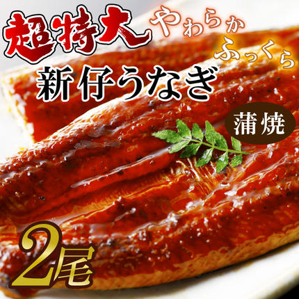 茨城県行方市のふるさと納税 超特大！やわらか国内産うなぎ蒲焼220～250g 2尾　計440g以上|うなぎ 鰻 蒲焼 特大 茨城県 行方市(AD-95-1)