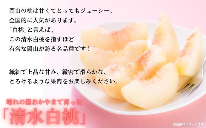 岡山県鏡野町のふるさと納税 【2026年先行予約】［拝郷果樹園］岡山県産 清水白桃 約2kg（6玉〜9玉）